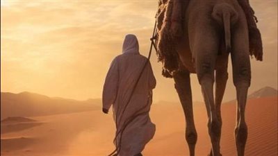 قعود الجمل