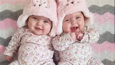رواية قطة في عرين الاسد شيقة جدا بقلم الكاتبة سمرة