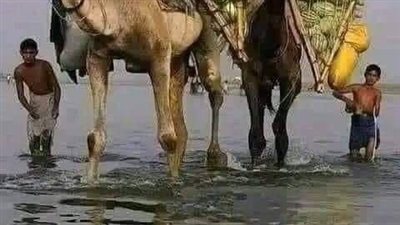 عثمان بن عفان يملك حساب في احدى البنوك في السـعودية