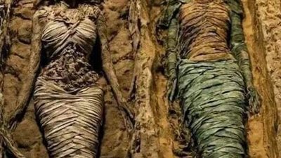 كنوز في قاع البحار 