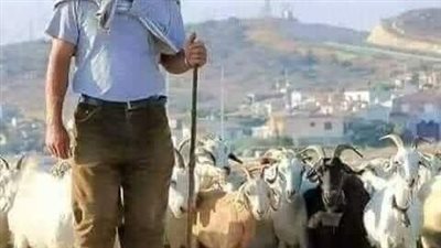 قصة راعي الغنم قال لها اريد ان اخطبك