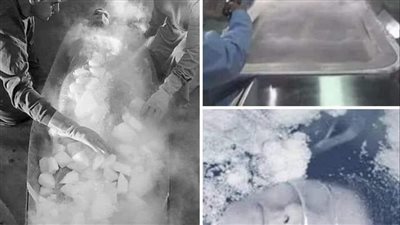 الفتاة التي تم تجميدها