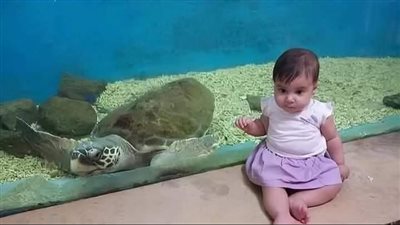  بنتي مفقوده
